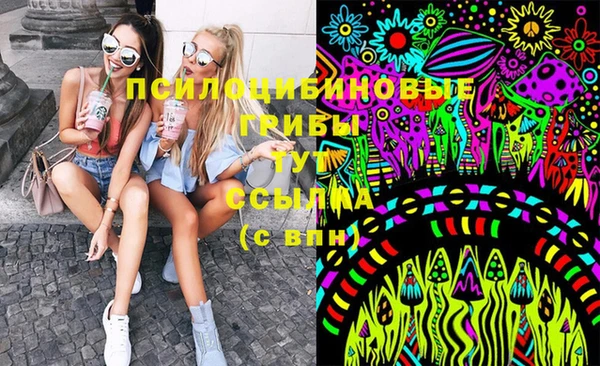 кокс Богородицк