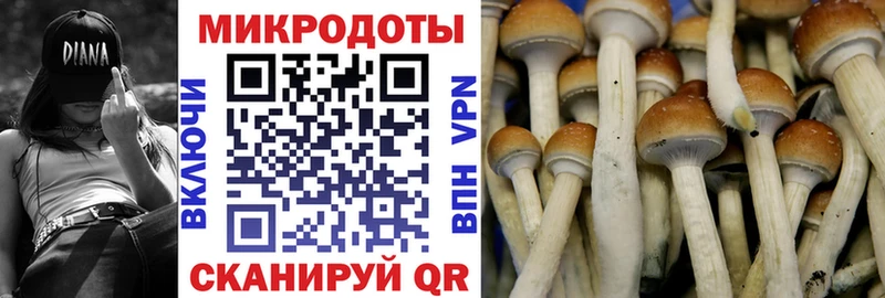 Псилоцибиновые грибы мицелий  цены   Зима 